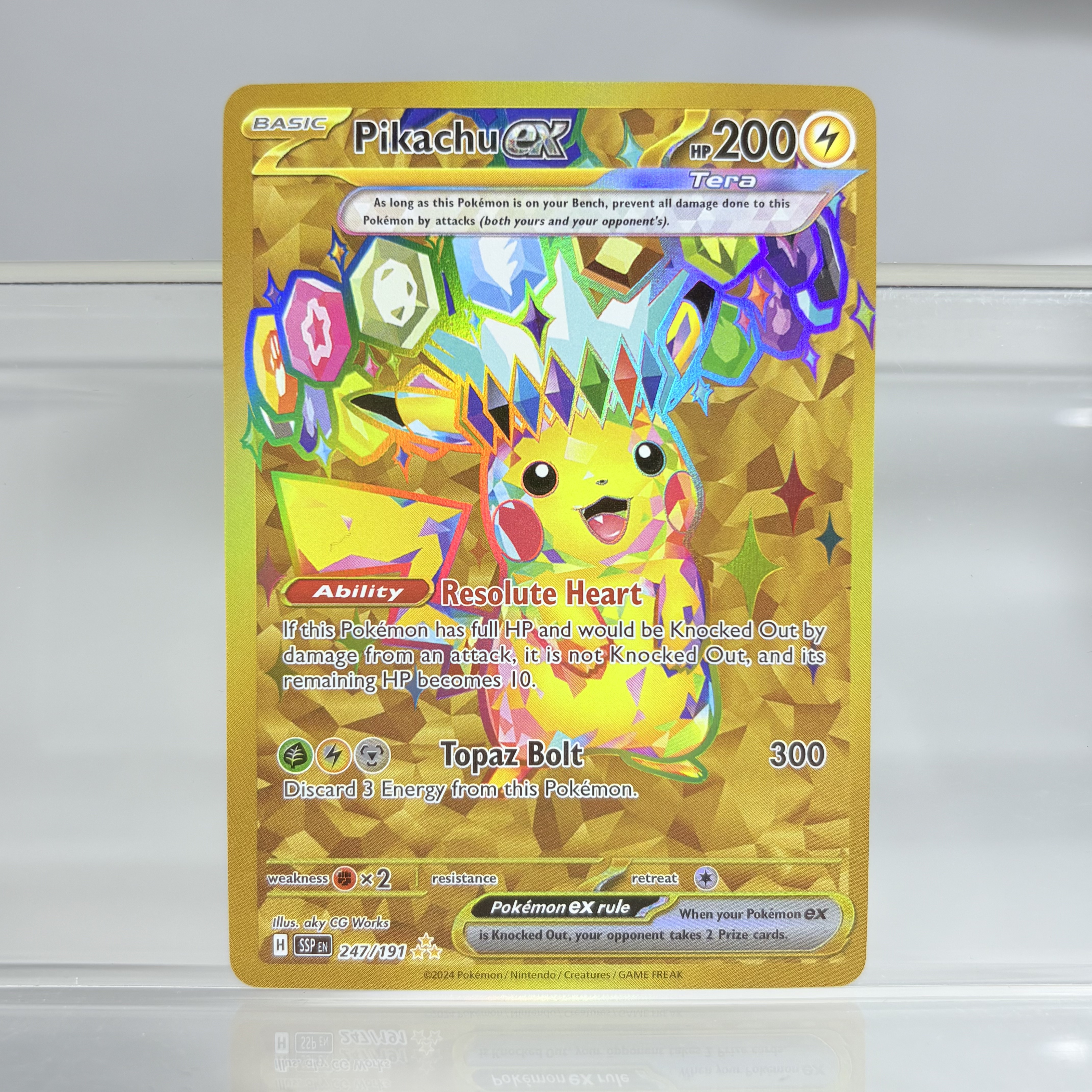 Holographic Game Trading Colle – обзор и цена Pokemon Binder Card