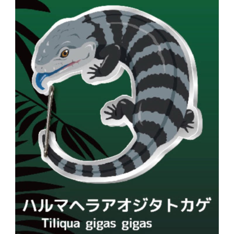 Gecko Lover Carabiner Gashapon – обзор и цена Capsule Toy Gashapon