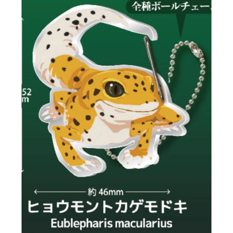 Gecko Lover Carabiner Gashapon – обзор и цена Capsule Toy Gashapon